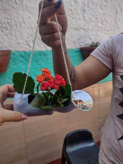 Vasinho suspenso feito de garrafa pet reciclada, com flores, e a etiqueta “Plantar também é um ato de amor”